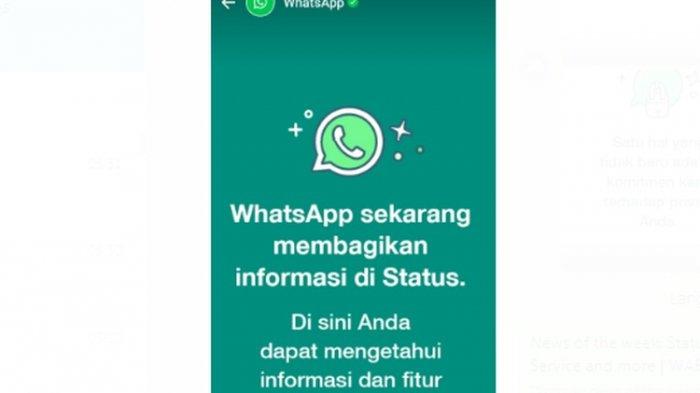 WhatsApp mulai kirimkan informasi ke pengguna melalui Status.