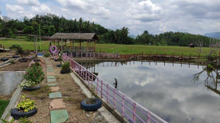 Wisata Embung Sawah Desa Jaro Kecamatan Jaro Kabupaten Tabalong