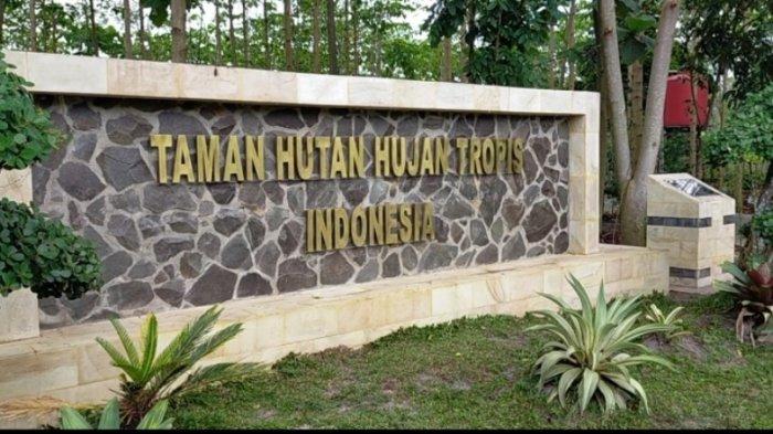 Taman Hutan Hujan Tropis Indonesia di area perkantoran Pemprov Kalsel