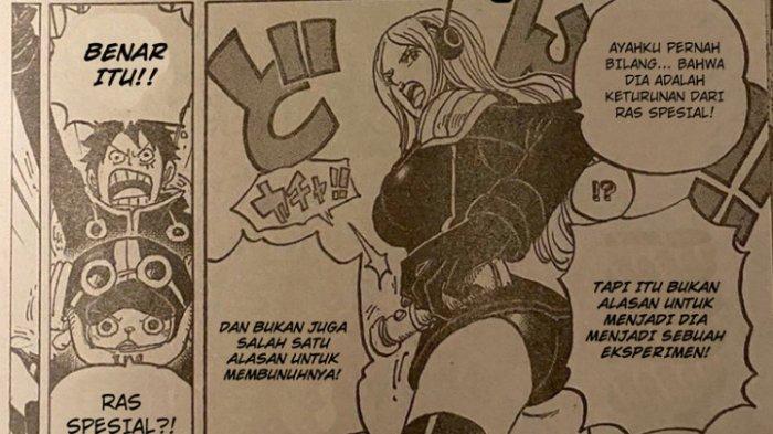 alam manga One Piece 1064, alur cerita akan berfokus pada dua scan, pertama pertarungan Law vs Kurohige, kedua di Pulau Egg Head.
