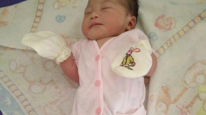 Bayi ditemukan warga yang melintas di kebun sawit Blok 112 Cadas Ngampar, Desa Rawasari, Kecamatan Cisata Kabupaten Pandeglang pada Jumat (27/11/2020) pagi. Bayi itu dirawat di RUSD Berkah Pandeglang.
