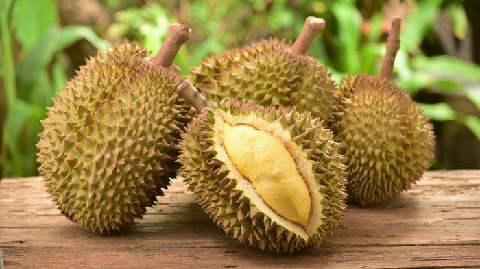 Ilustrasi durian - 5 Tips Mudah Memilih Durian dengan Daging Tebal dan Manis