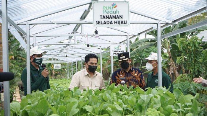 Hingga September 2021, jumlah pelanggan program Electrifying Agriculture telah mencapai 148.290 pelanggan dengan daya terpasang 2.553 MVA.