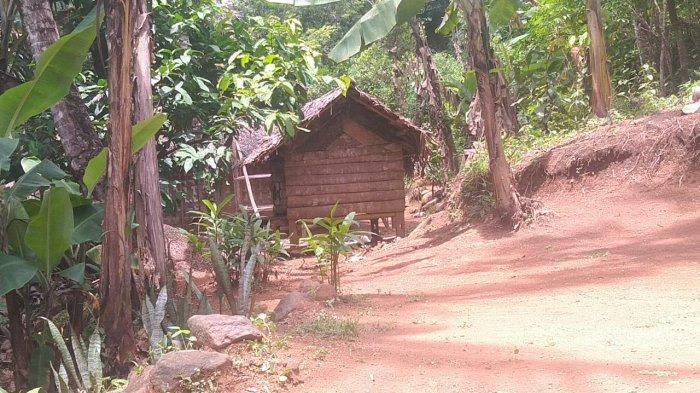Potret keluarga miskin di Kabupaten Pandeglang - Rusdiansyah (45) bersama istri dan dua anaknya tinggal di sebuah gubuk di pedalaman hutan di Kampung Cimuncang, Desa Sudimanik, Kecamatan Cibaliung, Kabupaten Pandeglang, Sabtu (27/3/2021).