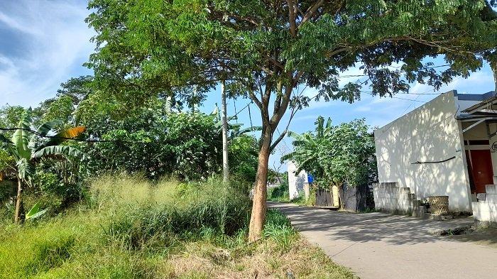 Suasana lingkungan Kampung Pelawad Mandiri, RT/RW 003/001, Desa Pelawad, Kecamatan Ciruas, Kabupaten Serang, Banten, Kamis (8/4/2021). Belakangan hari sebelumnya warga setempat diresahkan dengan adanya anjing yang berkeliaran dan sempat menggigit seorang anak kecil.