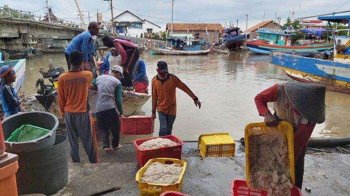 Para nelayan tradisional di Kota Tegal menurunkan hasil tangkapan rebon untuk dilelang di TPI Muarareja, Kota Tegal, Kamis (28/1/2021).