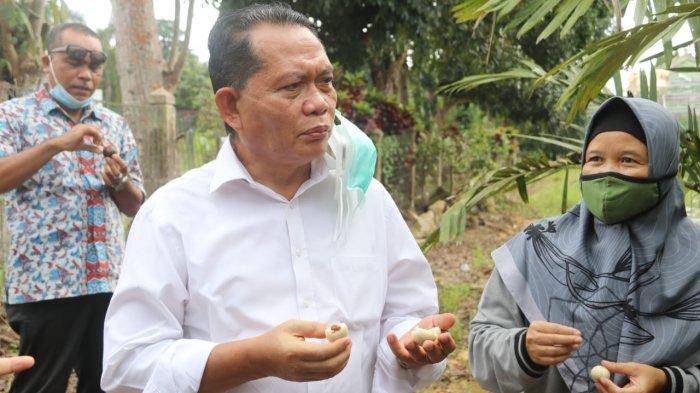 PJS BUPATI BINTAN -Pjs Bupati Bintan Buralimar meninjau langsung Kantor Dinas Ketahanan Pangan dan Pertanian Kabupaten Bintan, Kamis (1/10/2020)