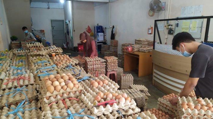 Pekerja saat sedang menyusun telur ayam di Tanjungpinang, Selasa (8/11/2022)