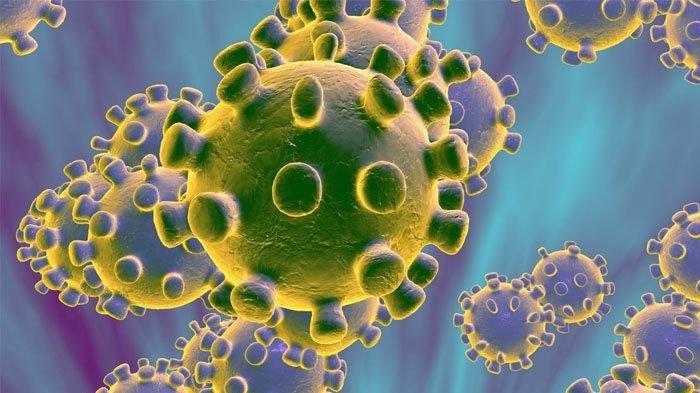 Ilustrasi virus corona atau Covid-19