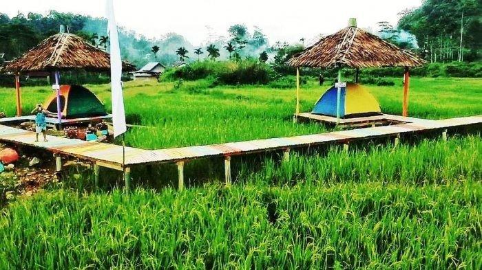 Destinasi wisata baru Sawah Tidur di Stabat, Sumatera Utara