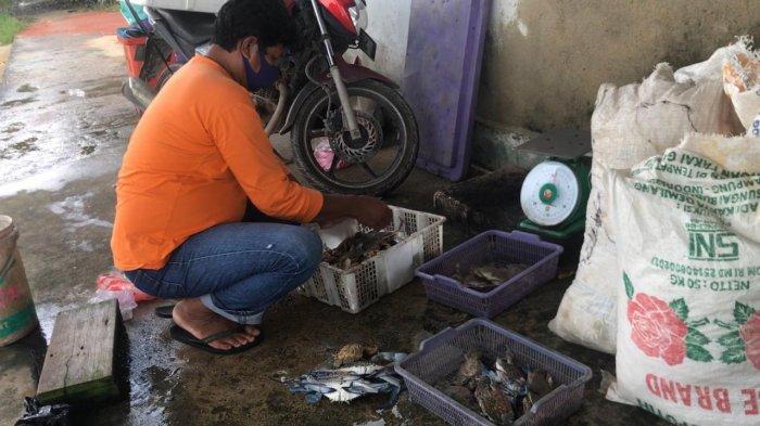 Usaha daging rajungan milik Ridwan di Kawal, Kecamatan Gunung Kijang, Kabupaten Bintan, Provinsi Kepri. Foto diambil belum lama ini.