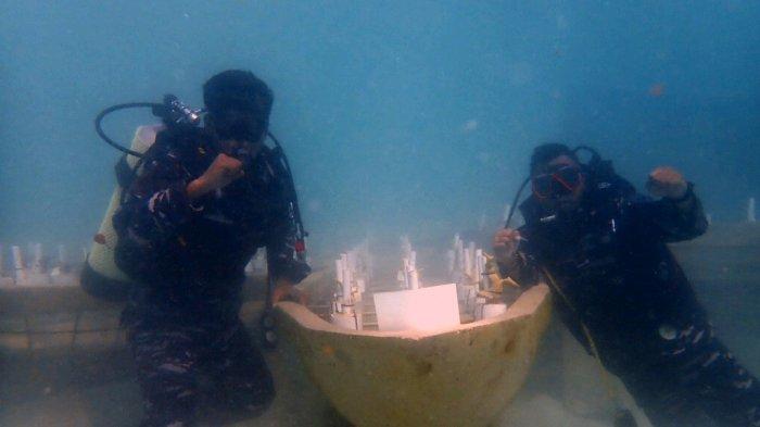 HUT RI - Penanaman fragmen terumbu karang pada kegiatan Coral Reef Garden (CRG) di Kampung Bahari Nasional (KBN) di Pulau Temawan, Desa Batu Belah, Kecamatan Siantan Timur, Anambas, Kepri, Selasa (17/8/2021). Kegiatan antara Lanal Tarempa bersama LKKPN Pekanbaru di Tarempa ini digelar untuk memperingati HUT RI ke-76.