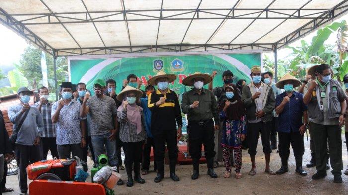 PANEN RAYA - Suasana saat Pjs Bupati Bintan, Buralimar melaksanakan kegiatan panen raya padi,di Desa Bintan Buyu Kecamatan Teluk Bintan,Kamis (26/11/2020).