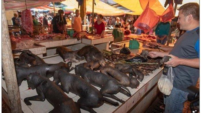 Ilustrasi pasar ekstrem Tomohon di Indonesia yang mirip pasar Wuhan yang menjual makanan tak wajar