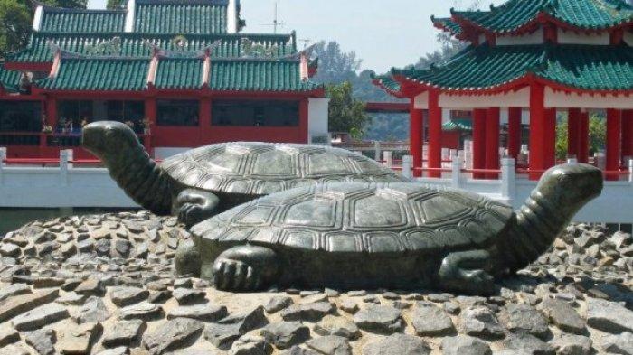 patung kura-kura di Pulau Kusu