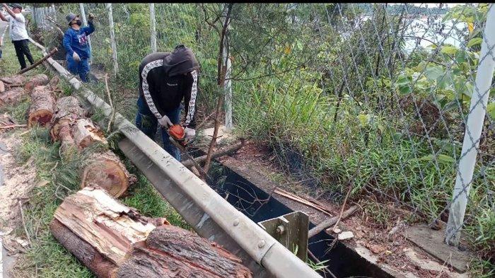 Pekerja membersihkan puing-puing pohon tumbang di sekitar jalan akses waduk Sei Ladi, Kota Batam, Provinsi Kepri, Senin (15/6/2020).