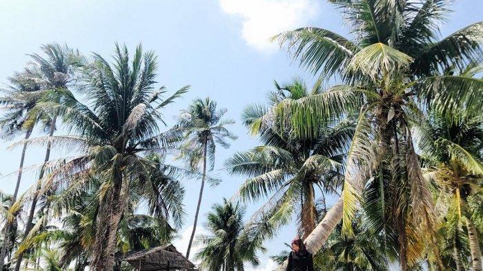 Pulau Abang