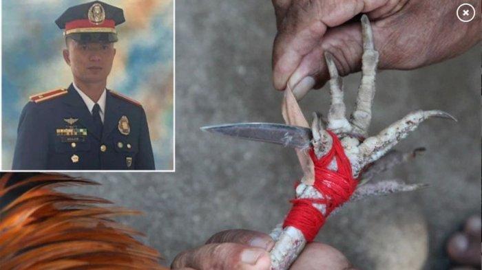 Kolase foto Letnan Christine yang meninggal karena sabetan pisau taji ayam aduan