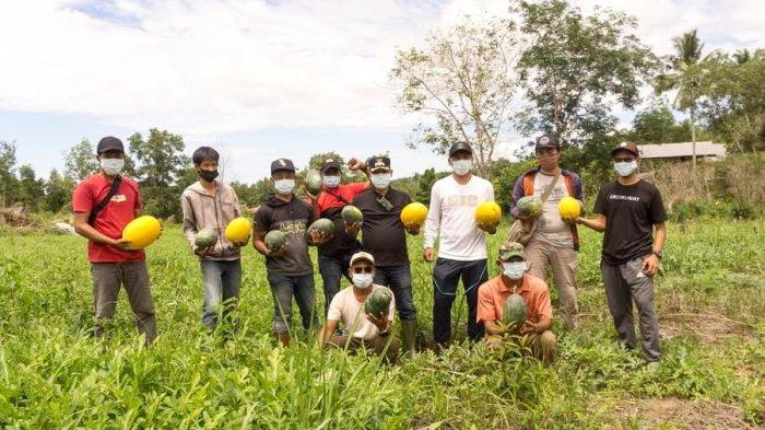 Wakil Bupati Lingga, Neko Wesha Pawelloy saat panen di Kebun Sirih, Desa Batu Kacang, Kecamatan Singkep, Kabupaten Lingga, Minggu (18/4/2021).