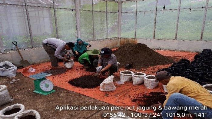 Fly ash PLTU Ombilin di balai pengkajian tekhnologi pertanian BPTP Sumatera Barat.