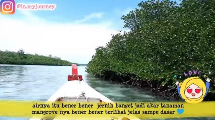 Pesona di mengrove saat hendak menuju ke Pulau Leebong