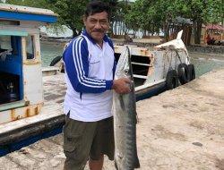 Tips Cara Isolasi dari Virus Corona ala Bupati Belitung, Bermanfaat dan Menghasilkan