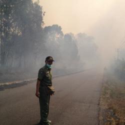 Kebakaran Hutan Konservasi Bukit Maras Meluas