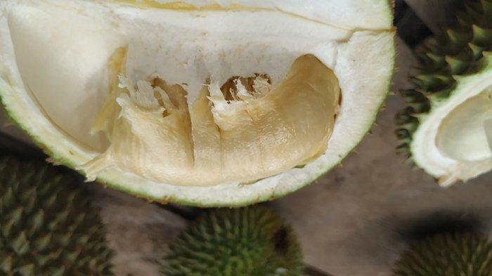 Buah durian hasil dari kebun Safari, di Desa Suak Gual, Kecamatan Selat Nasik, Minggu (27/12/2020).