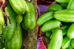 Kolestrol Minggat Cuma dengan Air Rebusan Belimbing Wuluh!