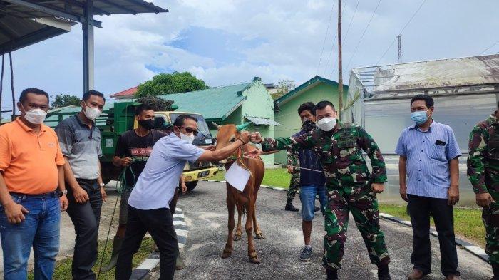 PENYERAHAN sapi kurban dari PT AMA kepada mitra, Senin (19/7/2021). (Pos belitung/Adelina Nurmalitasar)
