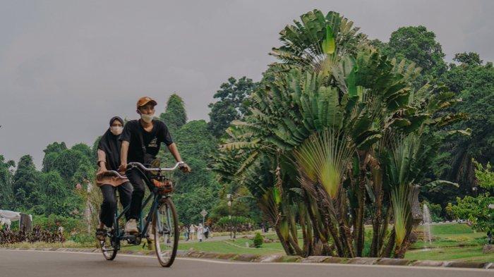 Sepeda tandem di Kebun Raya Bogor bisa jadi alternatif berwisata di Kota Hujan.