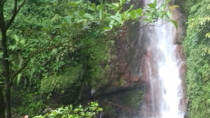 Daftar tempat wisata di Bogor untuk mengisi liburan Hari Kemerdekaan, bisa kunjungi Curug Cigamea