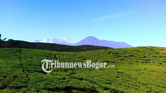 Daftar tempat wisata di Bogor bagi penyuka tantangan untuk isi liburan Hari Kemerdekaan.