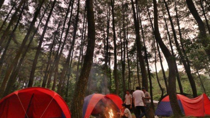 Rekomendasi tempat wisata di Bogor cocok untuk penyuka tantangan, bisa camping di Gunung Pancar