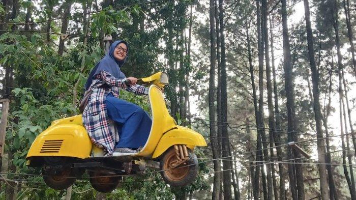 Hutan Pinus Gunung Pancar