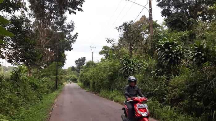 Lampu Penerangan Jalan Umum (PJU) di Jalan Ciapus - Sukaresmi, Kecamatan Tamansari, Kabupaten Bogor dikeluhkan masyarakat karena tak berfungsi.