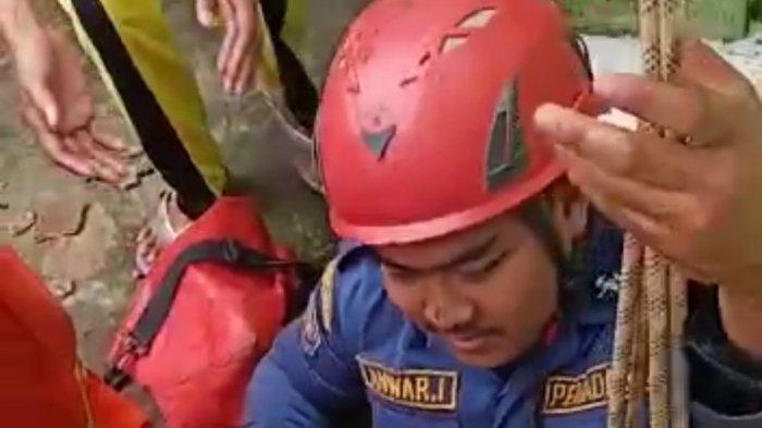 penyelamatan anak kucing di sumur