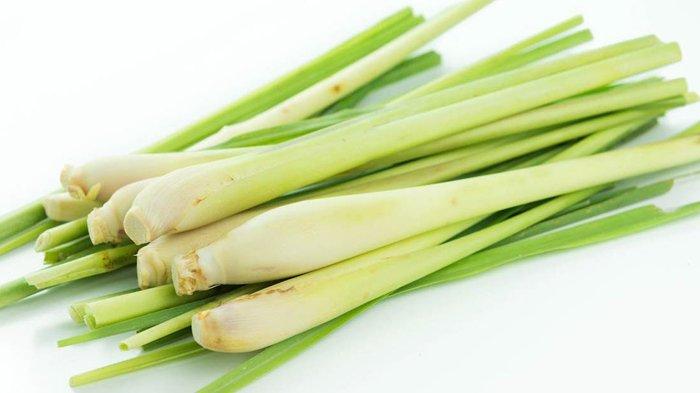 Daun serai