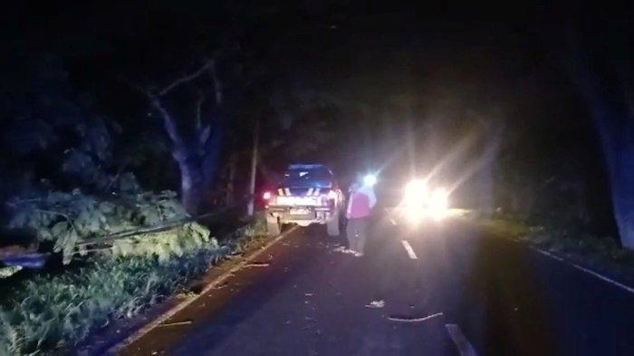 Pohon tumbang yang turut menimpa kabel listrik hingga membuat kabel itu bahkan melintang di tengah jalan di Desa Juntikedok, Kecamatan Juntinyuat, Kabupaten Indramayu, Kamis (22/12/2022).