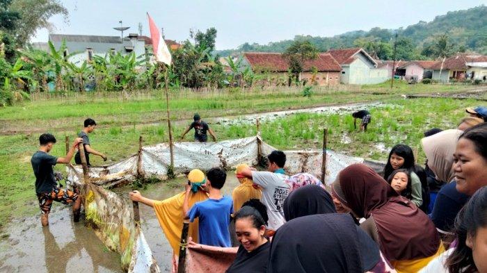 Sejumlah Emak - emak di kampung Sawahwaru, Kuningan melangsungkan adu cepat menangkap bebek di area persawahan