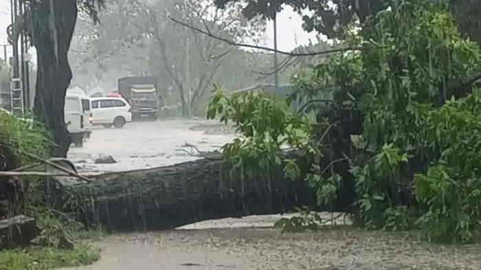 Tiga pohon tumbang dan satu pohon paling besar, menutup Jalan Raya Cicalengka- Majalaya, Kecamatan Cikancung, Kabupaten Bandung, Selasa (24/1/2023)