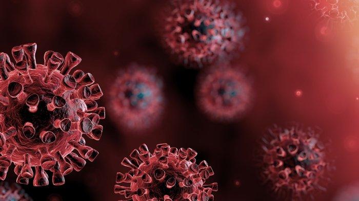 ilustrasi virus covid-19