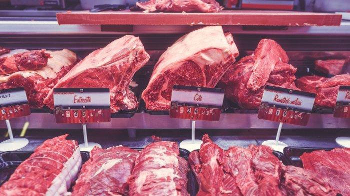Ilustrasi daging merah mentah