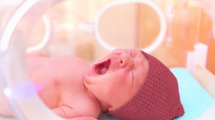 Ilustrasi kelahiran prematur akibat ibu mengalami infeksi, begini ulasan Dokter Spesialis Obstetri dan Ginekologi, dr. Hafi Nurinasari, Sp.OG., M.Kes