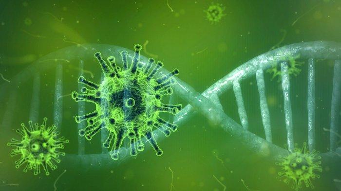 Ilustrasi mutasi virus corona