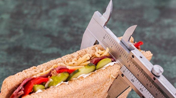 Ilustrasi - Pengertian diet menurut dokter, masyarakat masih banyak yang salah kaprah
