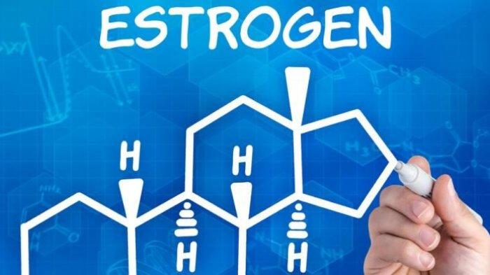 Ilustrasi perbaikan hormon estrogen menurun ketika menopause, begini keterangan Medical Sexologist, dr. Binsar Martin Sinaga, FIAS