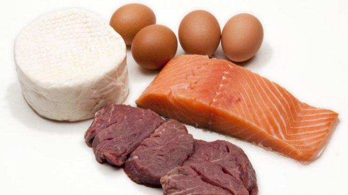 Ilustrasi protein hewani