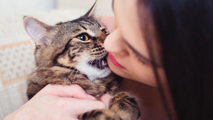 Ilustrasi seorang wanita dengan kucing peliharaannya