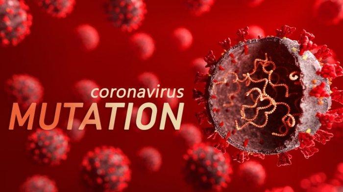 Ilustrasi virus corona varian delta AY.4.2, simak ulasan Mantan Direktur WHO Asia Tenggara, Tjandra Yoga Aditama